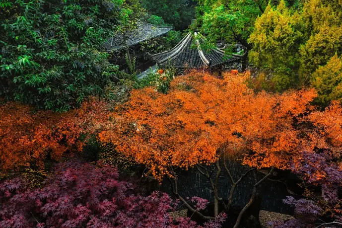 秋山登高
