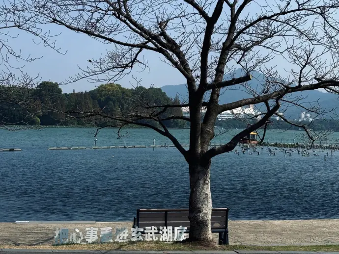 玄武湖