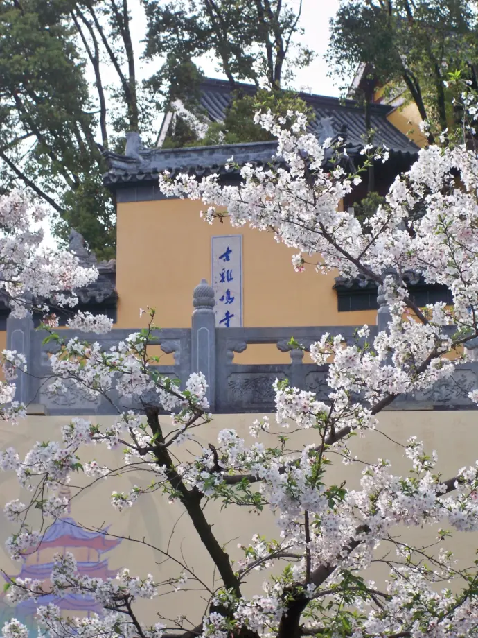 玄武湖