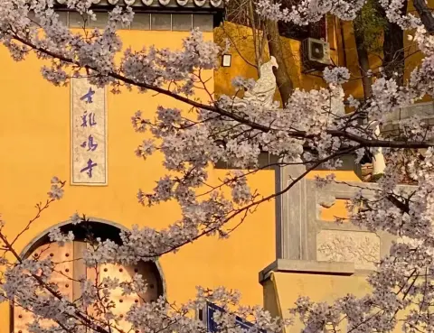 南京玄武湖+鸡鸣寺一日游纯干货攻略!南京旅游逛吃赏景,闭眼冲