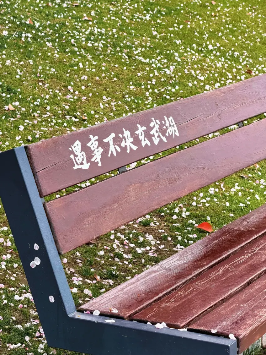 玄武湖岸日常休闲散步场景示意画面