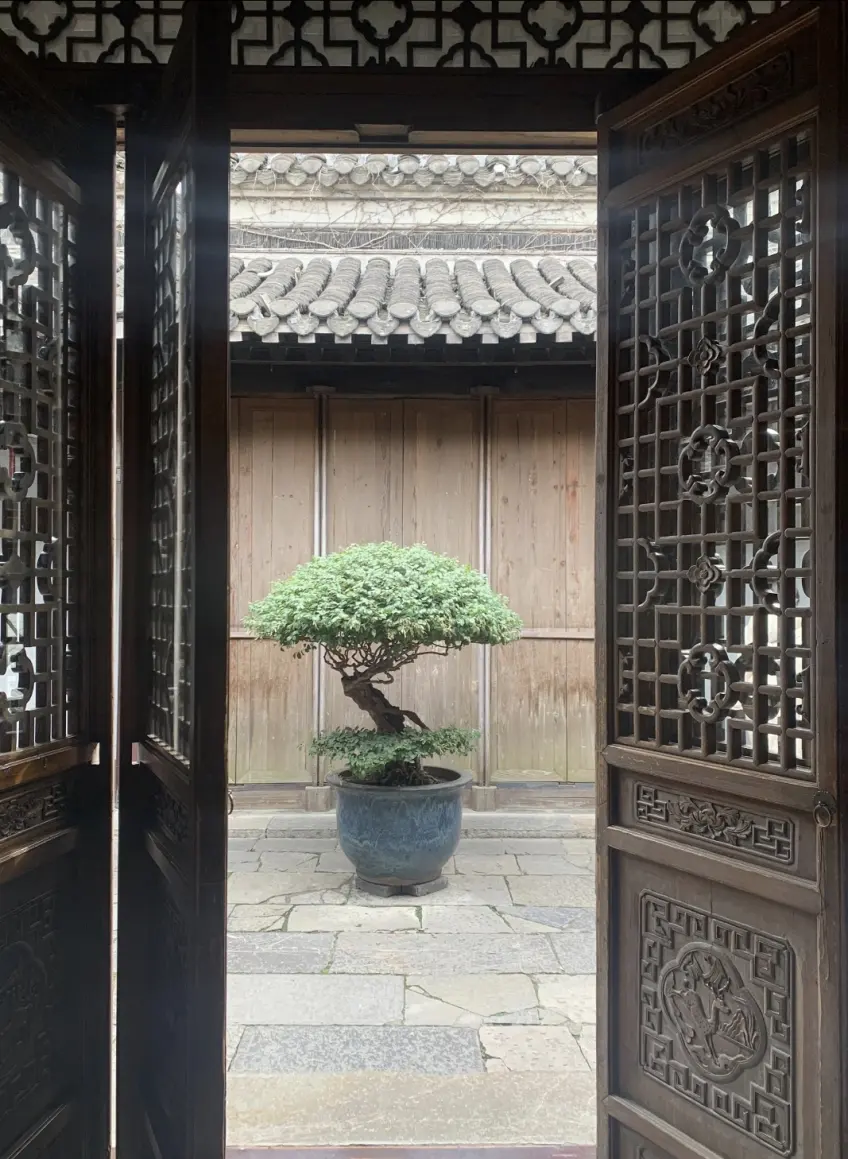 個園鏤空木門與庭院盆栽
