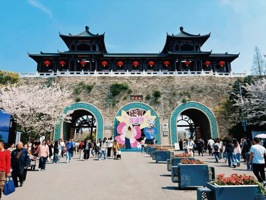 玄武门红灯笼樱花人流