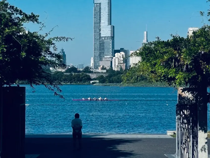 玄武湖平静湖面与对岸绿树