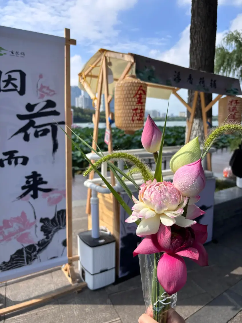 手持荷花与市集横幅示意
