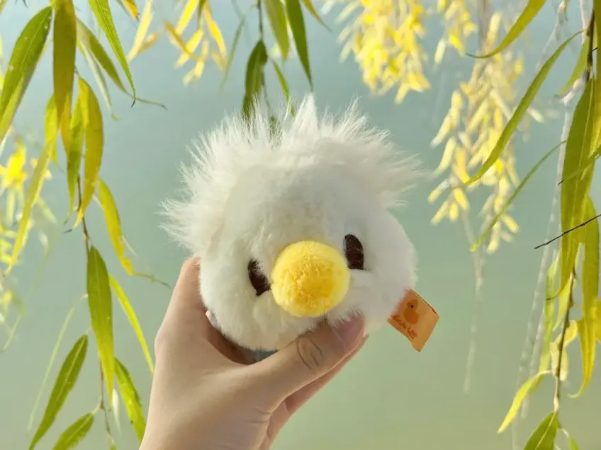湖柳前手持白鸭毛绒玩具
