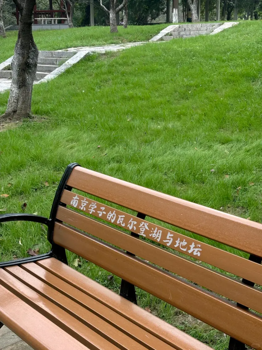 玄武湖学子瓦尔登湖长椅草坡示意