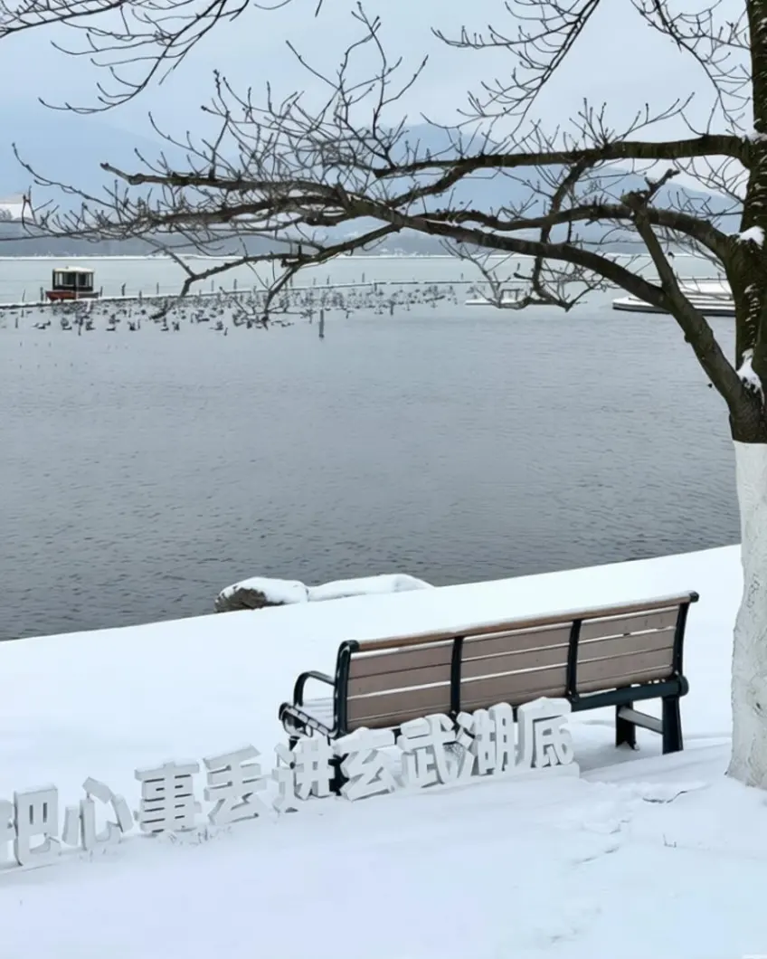 玄武湖雪后静谧湖岸独步示意