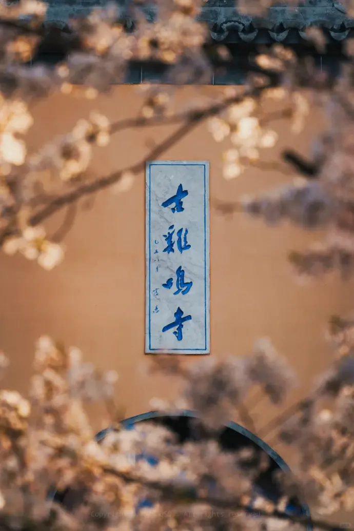 玄武湖一日游