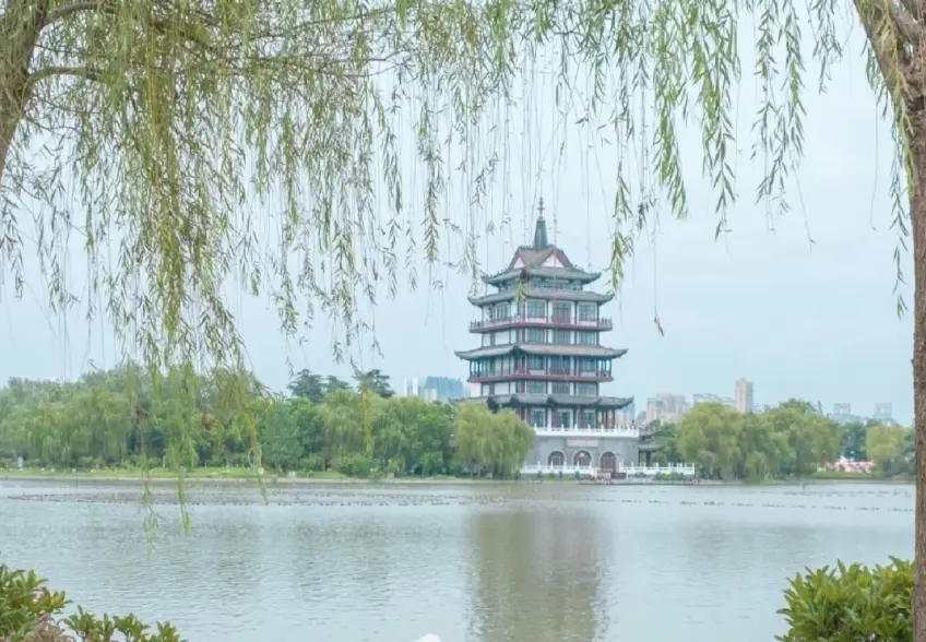 萧湖公园湖面与岸边风景