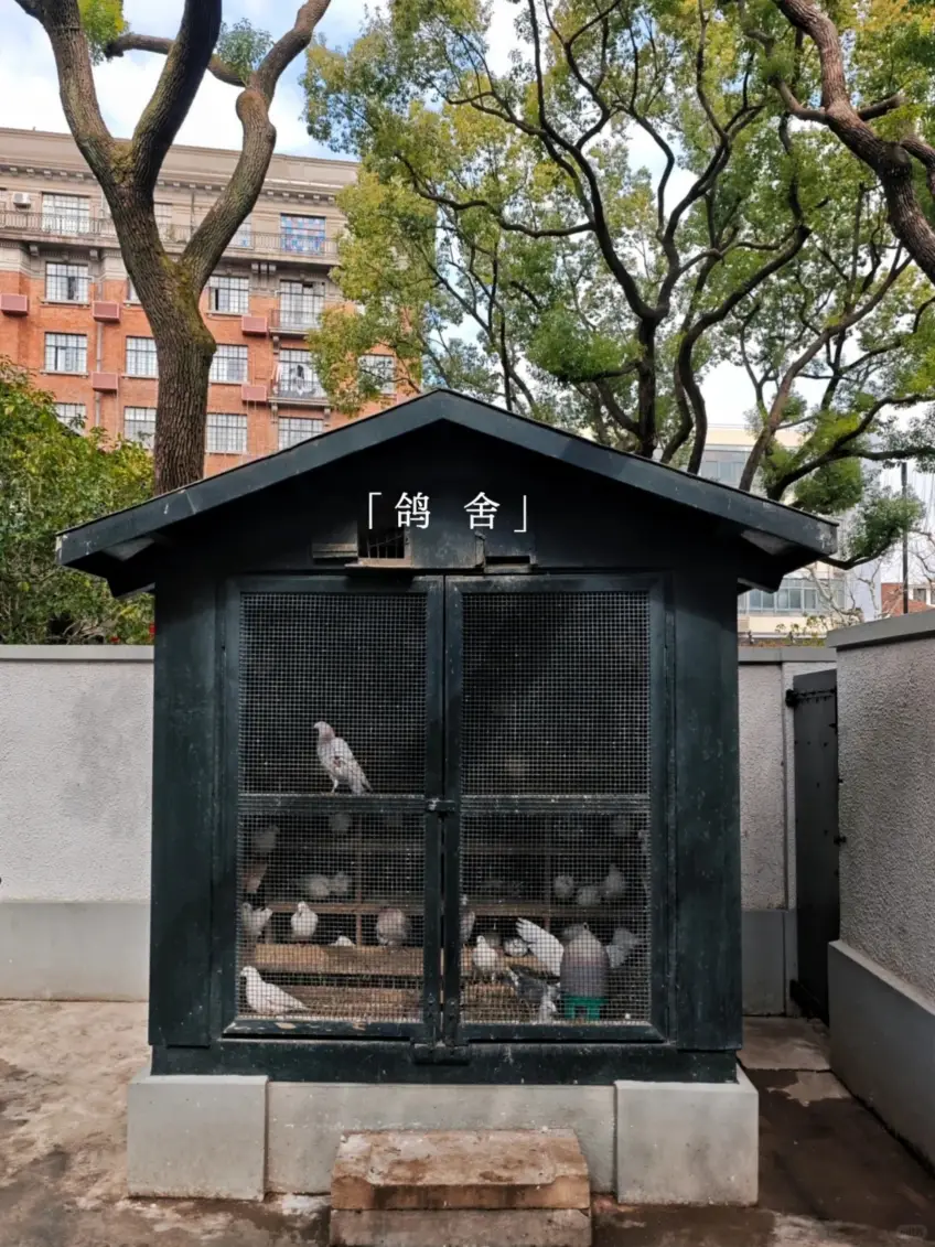 故居庭院鴿舍