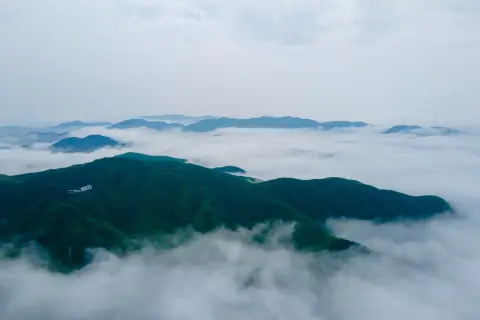 莫干山一日游攻略|周末亲子游躺平式带娃,莫干山真的太懂松弛感了