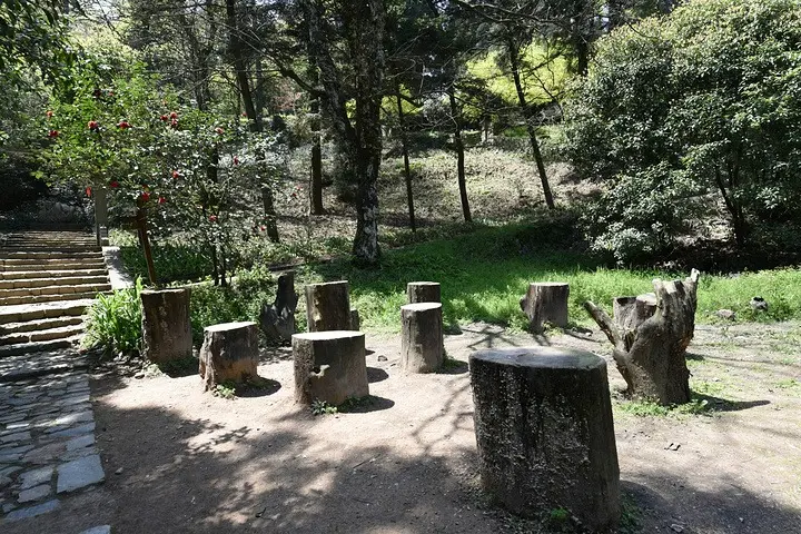 莫干山楊樹林環線草坪與步道