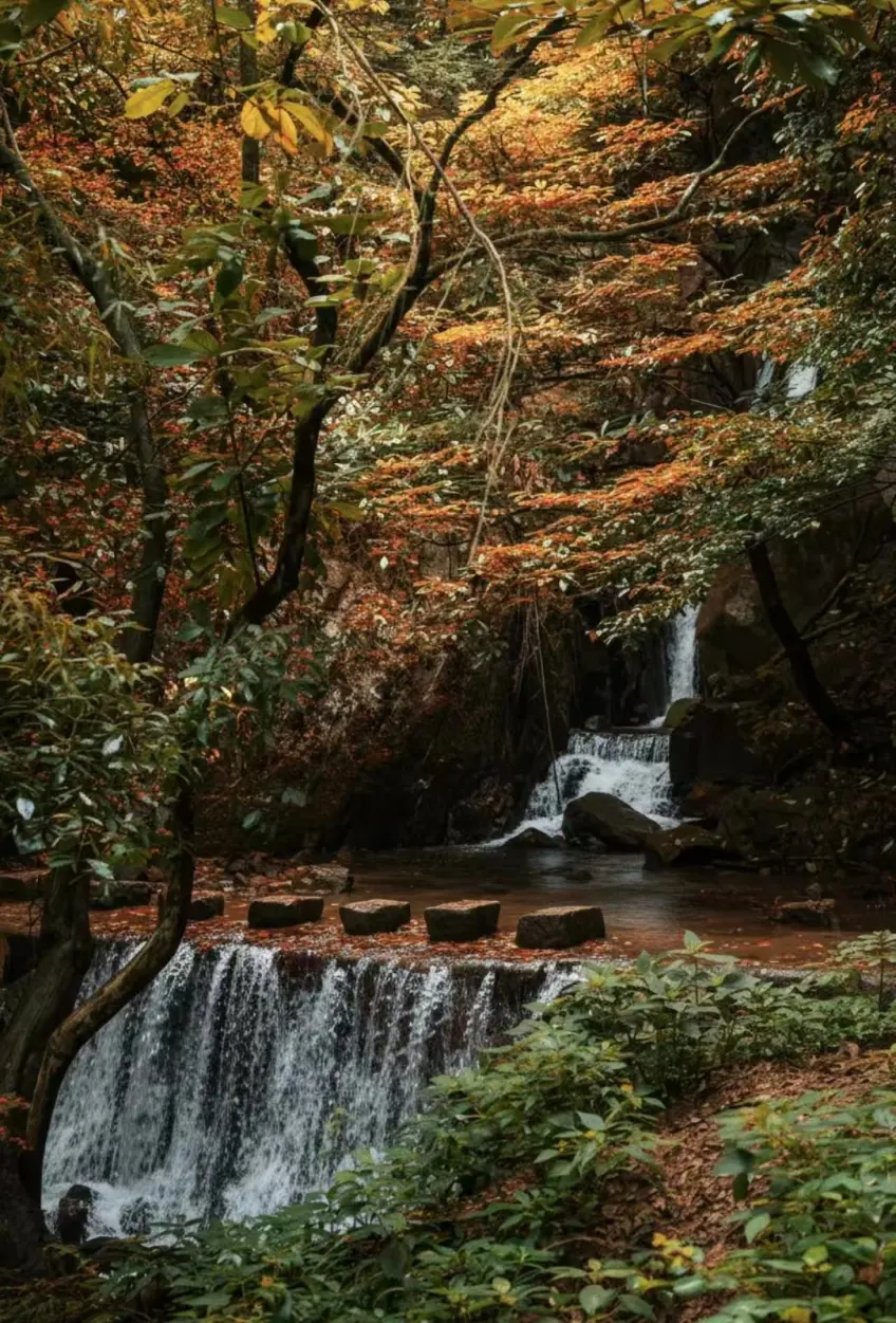 蔣公古道石階與兩側竹林