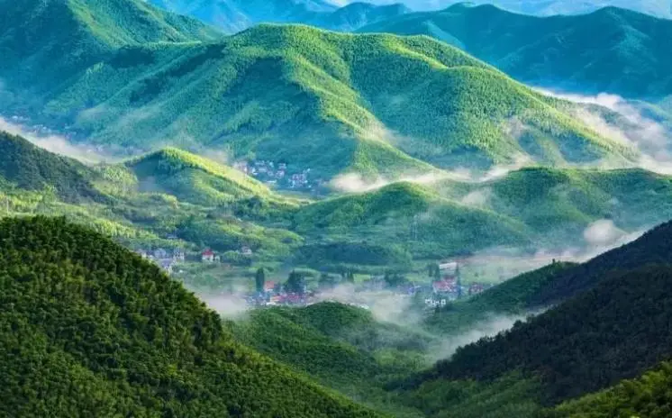 莫干山层层竹海云雾与山村红瓦