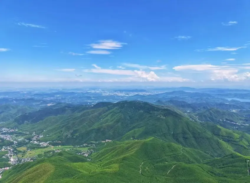 天泉山日落線茶園與村落遠眺