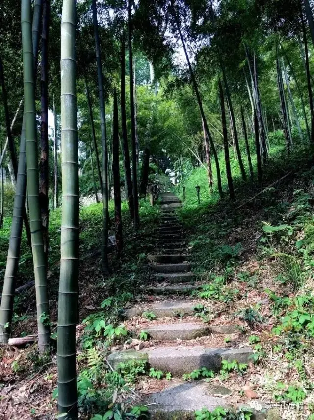 大洋里环线
