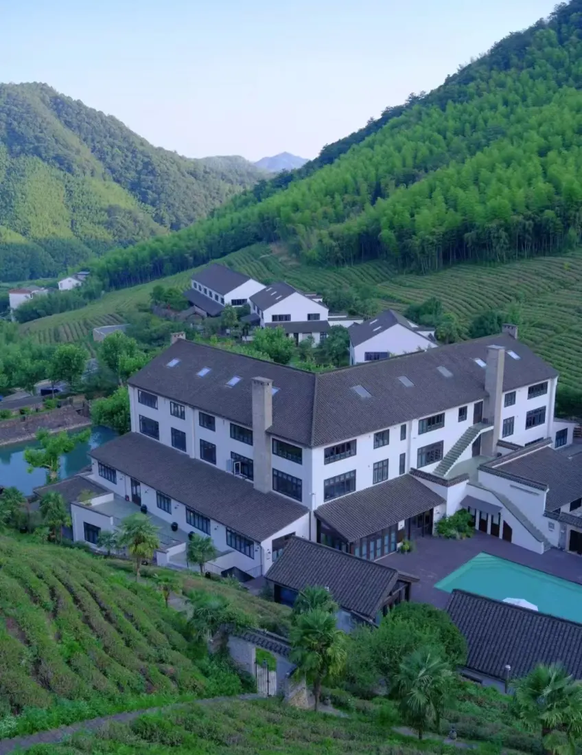法国山居白墙建筑与茶园泳池俯拍示意