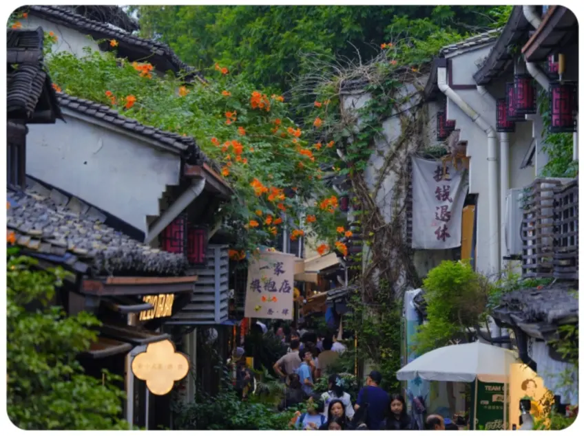 南宋御街巷弄爬藤与店铺招牌