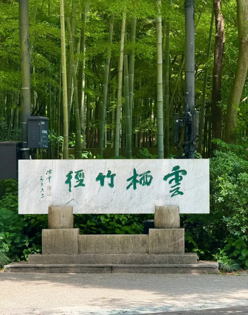 云栖竹径两侧密竹夹道景观