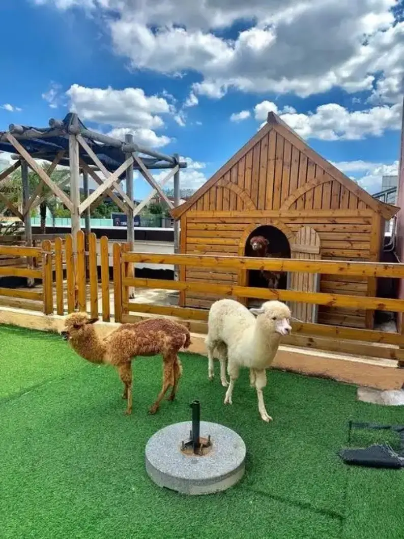 愛德堡莊園噠噠牧場木屋與草地小徑