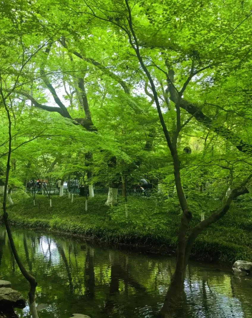 九溪十八涧山溪与绿树步道
