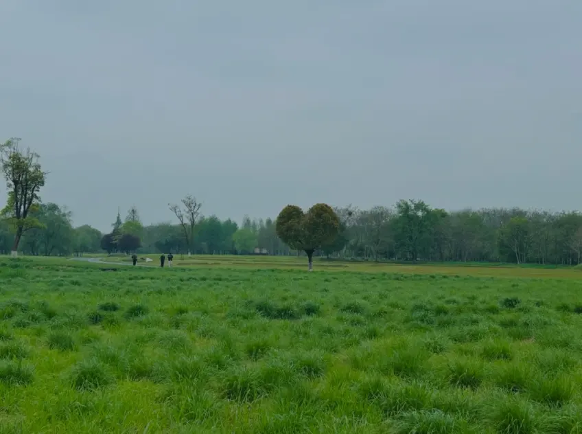 良渚古城遗址公园土台与绿地远景
