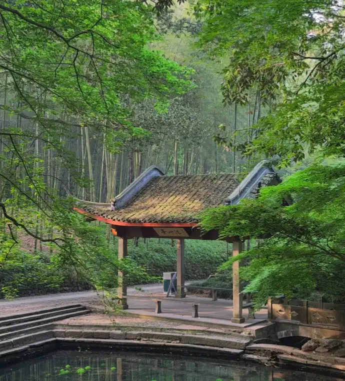 美景