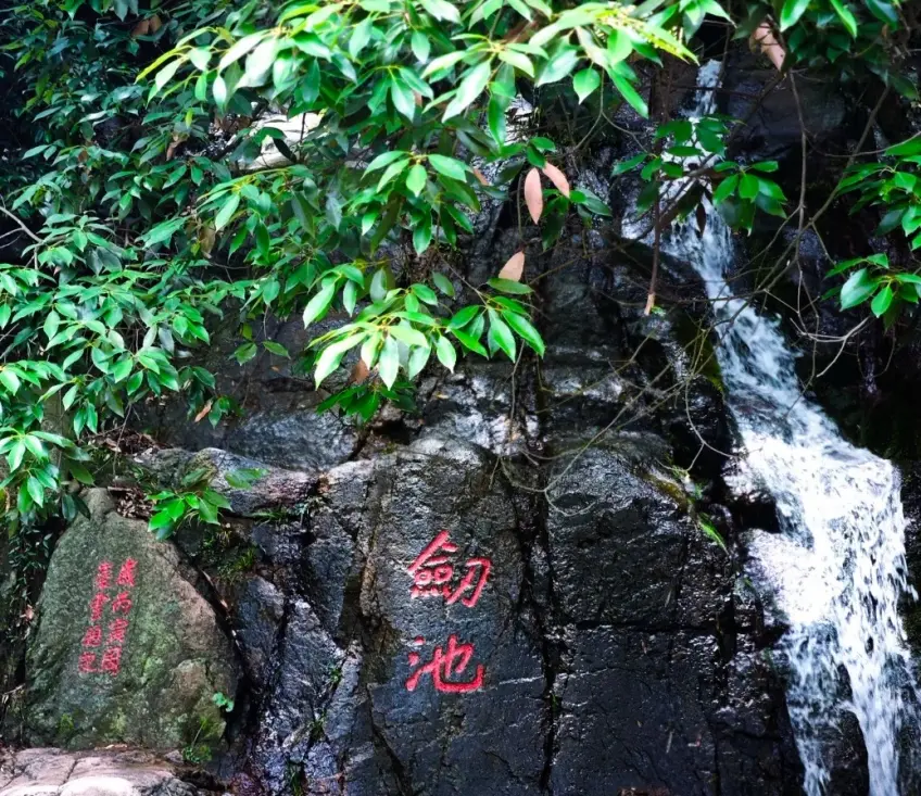 剑池飞瀑旁红色石刻与湿岩绿叶