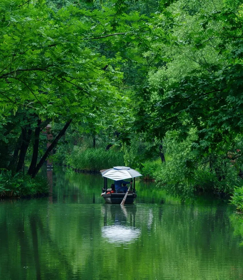 西溪湿地水道蓝篷摇橹船