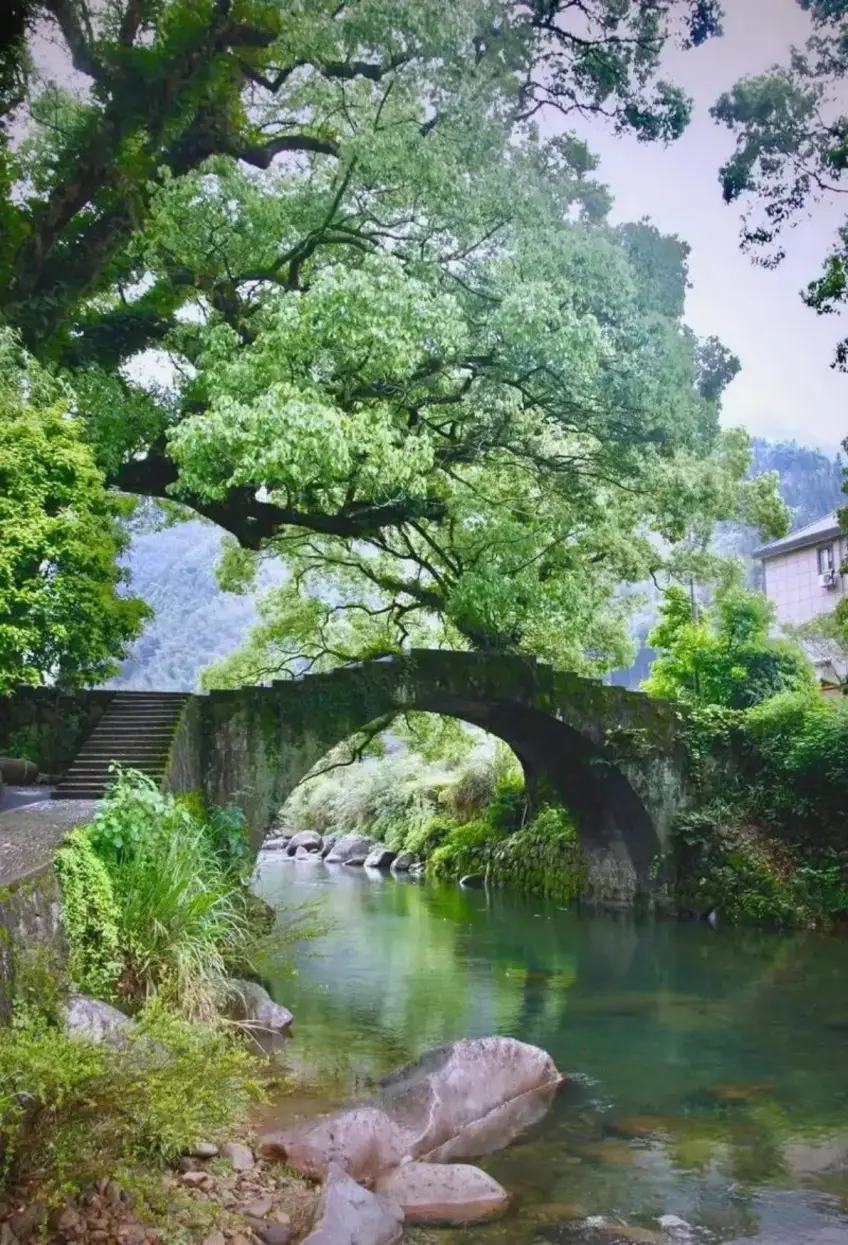 浙江山村石拱橋與古樹倒影豎圖