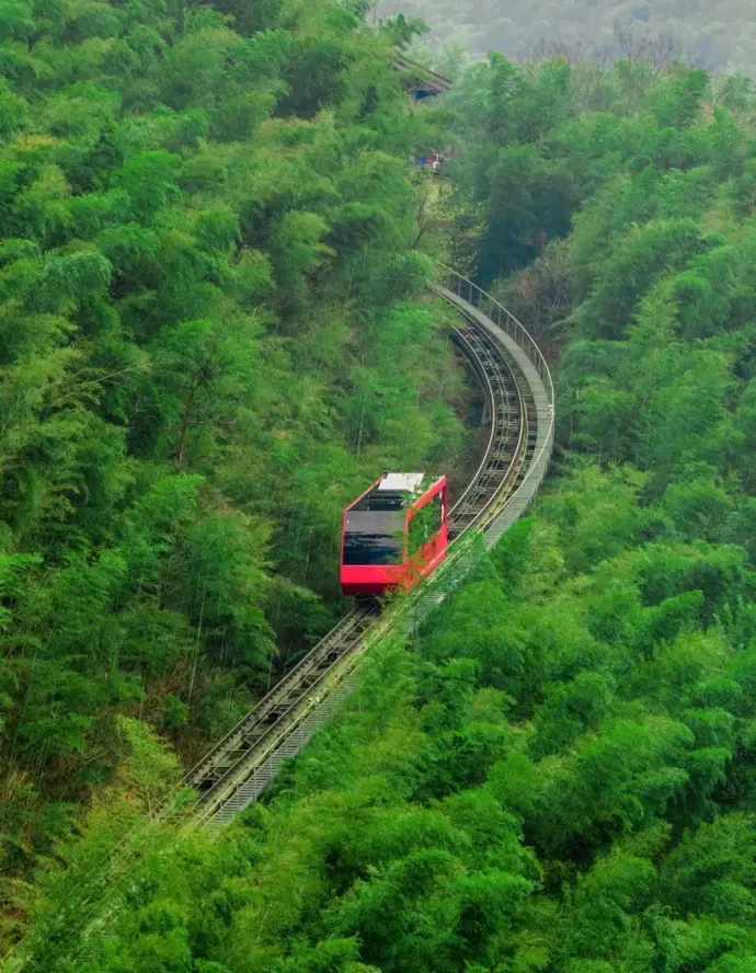 南山竹海