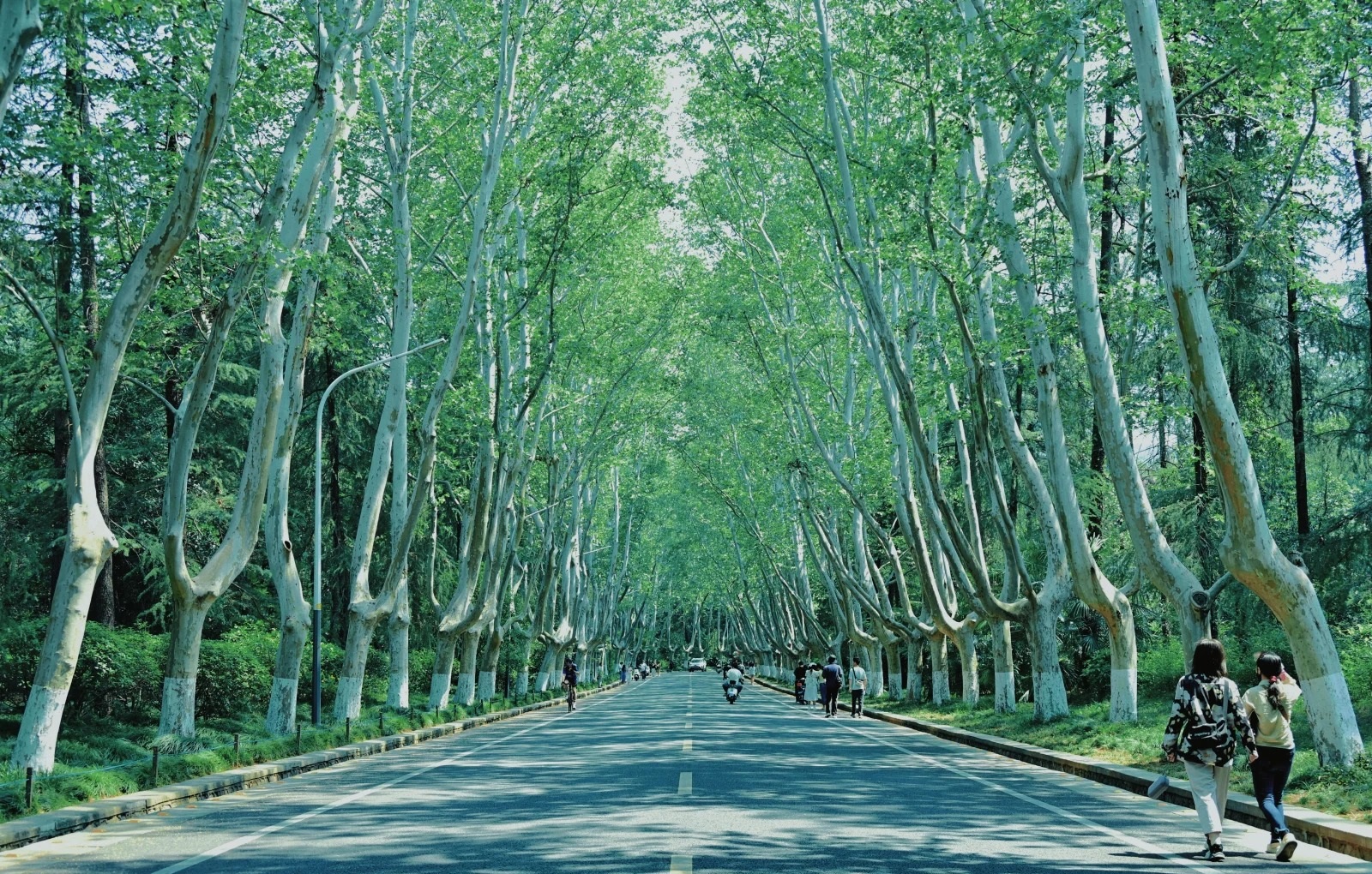 江蘇網紅打卡全攻略：從六朝古都到江南水鄉每一程