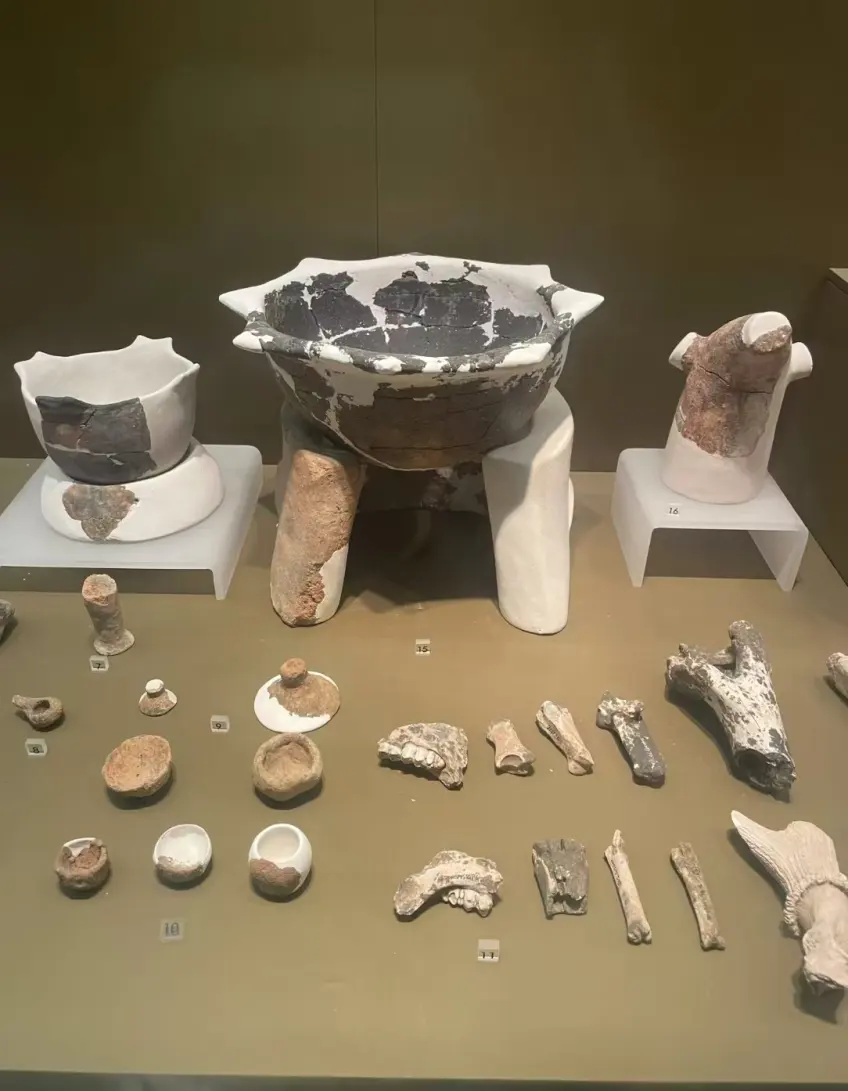 历史馆远古至秦汉展区展柜陈列
