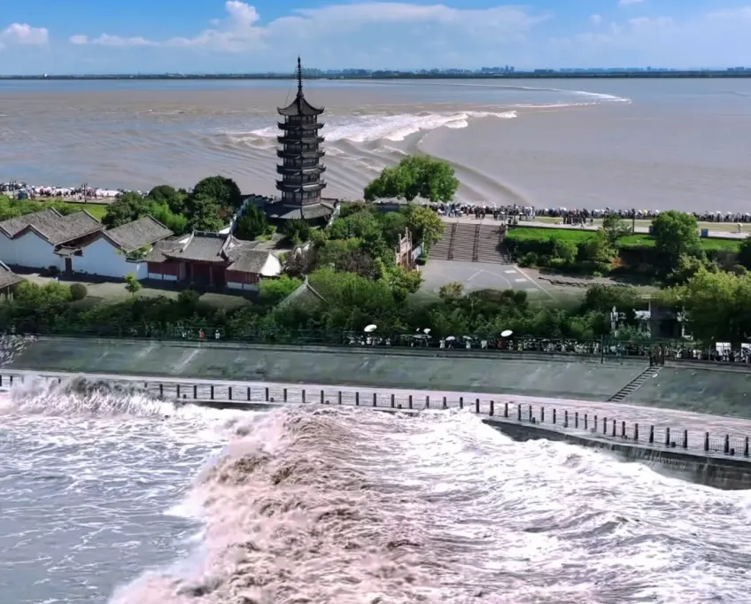 钱塘江怒潮拍岸与岸边古塔人群