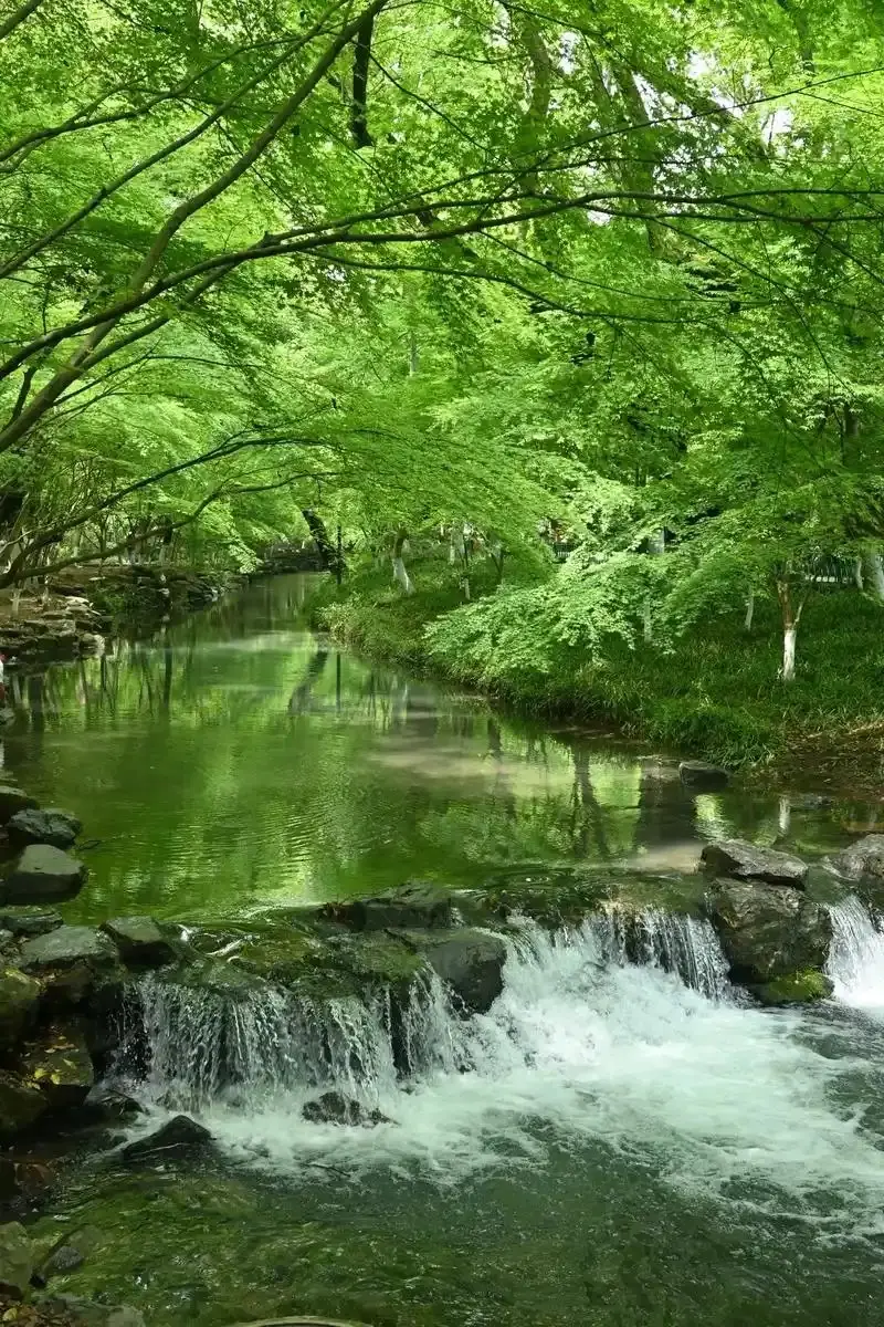 九溪十八涧石径与清澈溪流