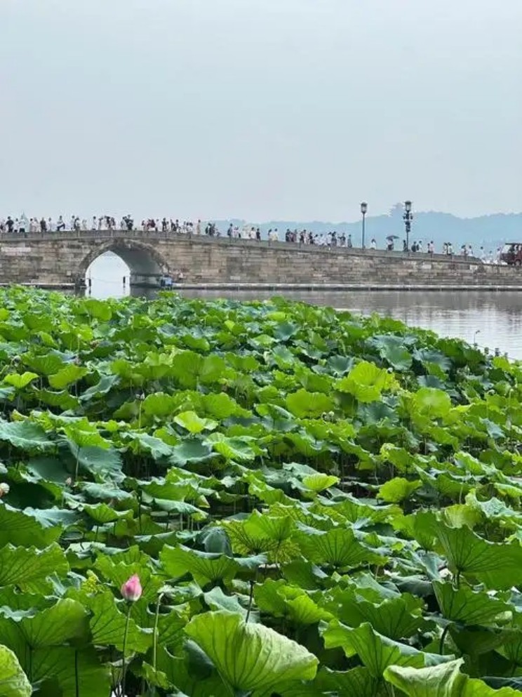 浙江民俗花样新玩法，一年四季不重样，体验会稽不一样的特色节庆
