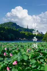 【大美千岛湖6天5晚】杭州（胡雪岩故居+西溪湿地+西湖）+千岛湖+宋庆龄故居纯玩