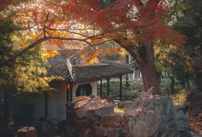 留园假山