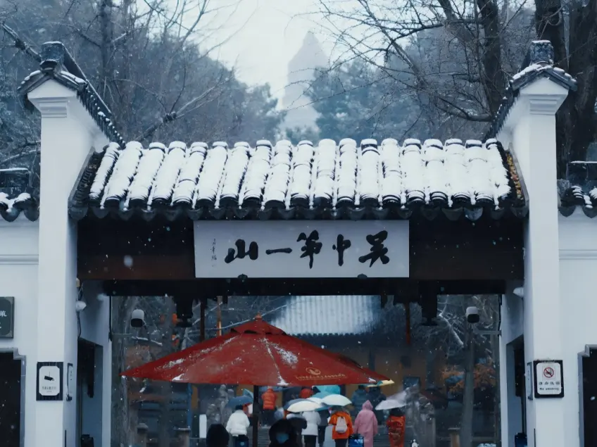 虎丘雪景塔影与山林