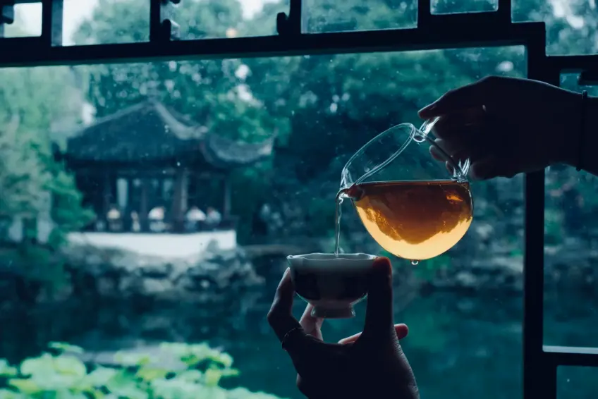 艺圃水边品茶场景