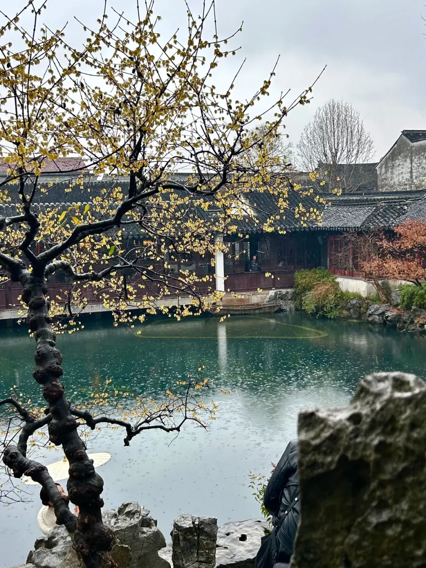 艺圃延光阁水榭茶室