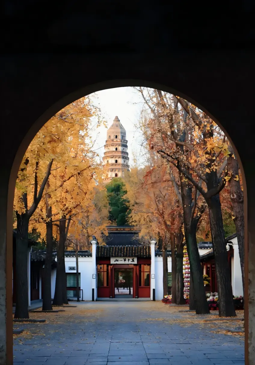 虎丘秋日山林与斜塔