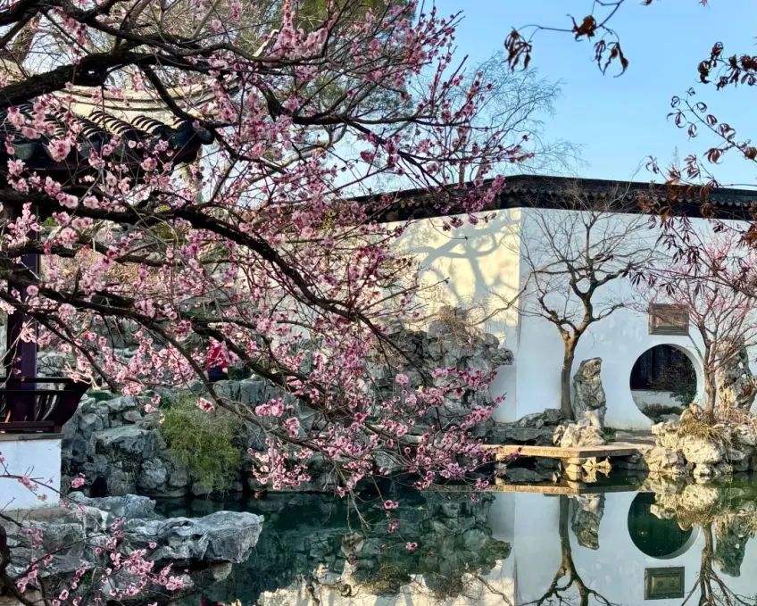 艺圃水院亭台与水面倒影