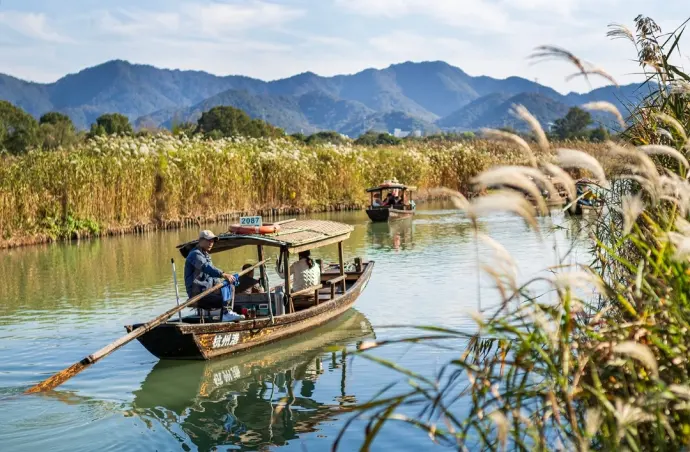 西溪湿地