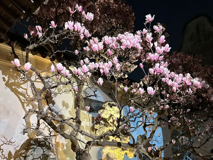 网师园夜间廊桥灯笼