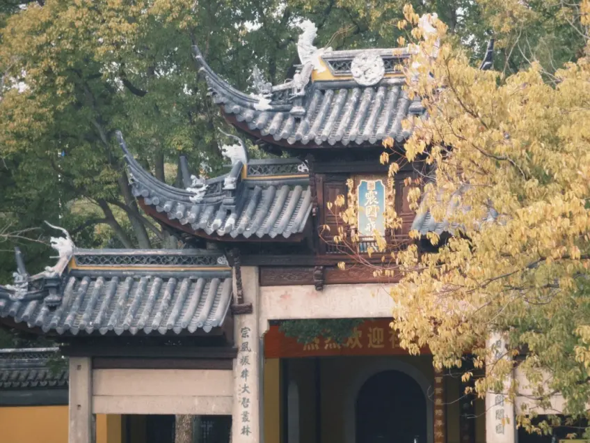 灵岩山寺石阶与两侧林木上行