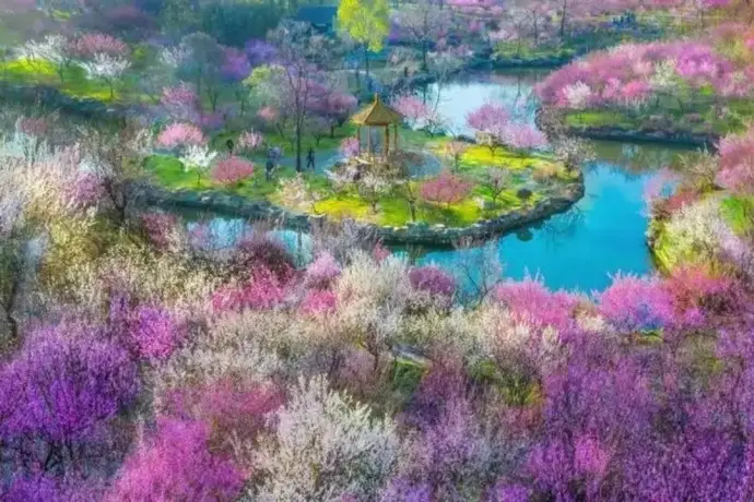 春天