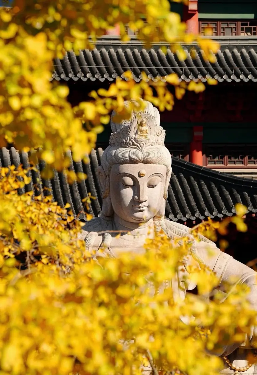 毗盧寺石雕觀音像秋葉映襯豎圖示意