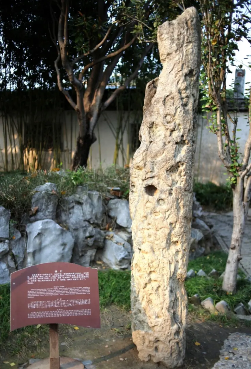 神针石竹丛白墙与庭院石径